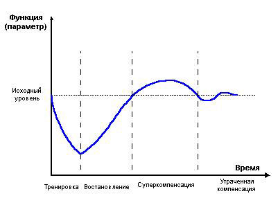 Фазы суперкомпесации