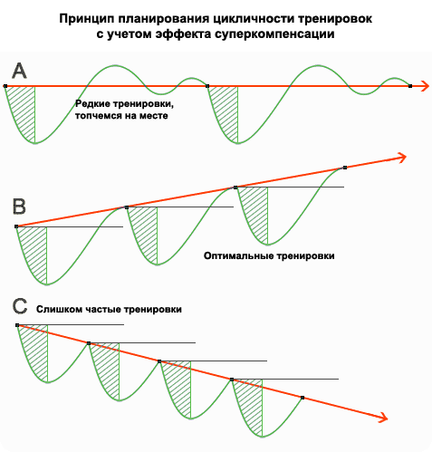 Принцип планирования тренировок
